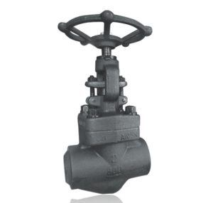 Forged Steel Globe Valve